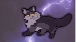 Stormfur Edit