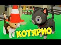 КОТЯРИО Откуда столько котиков Симулятор котят KITT IO