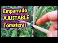 🤔 Cómo Emparrar o Entutorar TOMATERAS y otras Plantas del Huerto ATLASNUBE autogestión