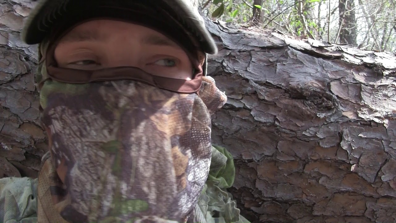 2017 Alabama Public land Turkey hunt YouTube