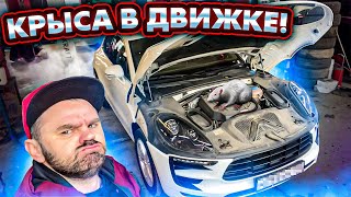 ЖЕСТЬ НА СТО - КРЫСА В ДВИГАТЕЛЕ! Сколько стоит обслужить ПОРШ МАКАН в 2023 году?/ ПРИТУЛА ДРАЙВ