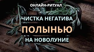 🌿ОТЖИГ НЕГАТИВА НА ПОЛЫНЬ В НОВОЛУНИЕl ОНЛАЙН-РИТУАЛ🌿