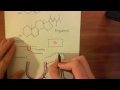 Caveolae and endothelial nitric oxide synthase part 5