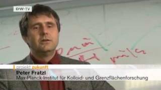 Video des Tages | Bionik