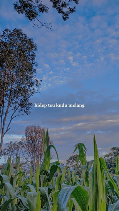 story wa 30 detik || Jang || pop Sunda #short