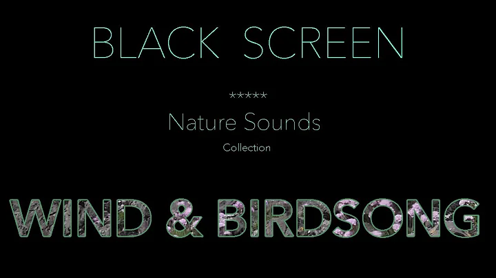 Nature Sounds Wind & Birdsong Black Screen-Dark Black Screen Relaxing Sleeping Sound Johnnie Lawson