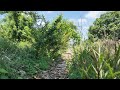 Houston residents tired of neglected and overgrown property in neighborhoods