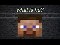 What Is Minecraft Steve 