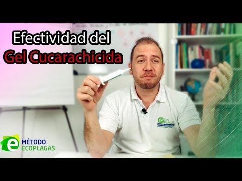 Video: Combate Contra Las Cucarachas: Trampas Y Spray (aerosol), Geles. Instrucciones Para El Uso De Medicamentos Contra Las Cucarachas. Reseñas Sobre El Veneno