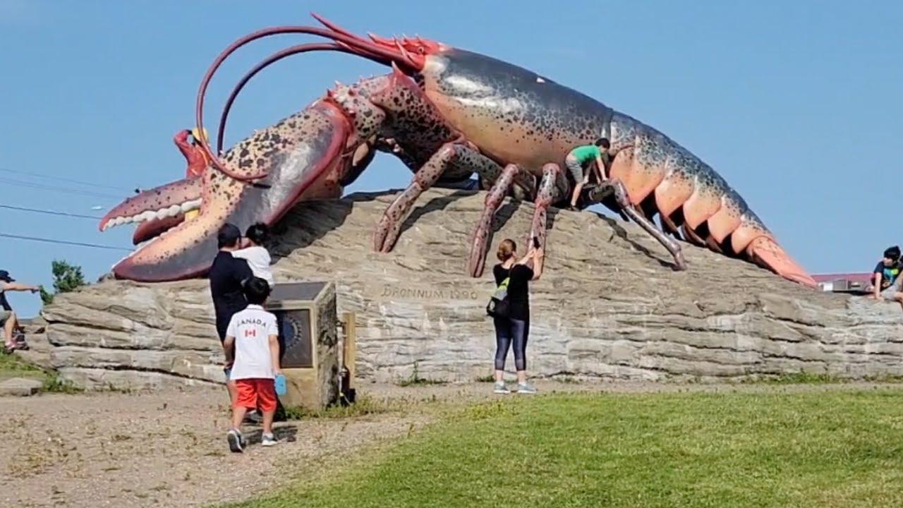 The World's Largest Lobster Shediac Giant Lobster Where To Go at New