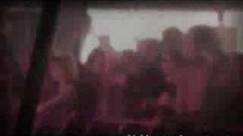 This Binary Universe