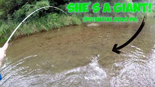 Trout Magnet JIGGING (secret technique explained!) | Huge FISH & Huge GIVEAWAY!
