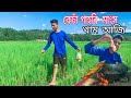 গাহৰি  মাংস বহুত দিনৰ pasot ||  khalu aji #pork #Assam #funny #video
