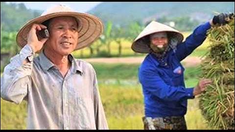 Vietnamese Interpreter 1 | "The Vietnamese Interpreter"