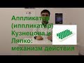 Аппликатор (иппликатор) Кузнецова и Ляпко: механизм действия