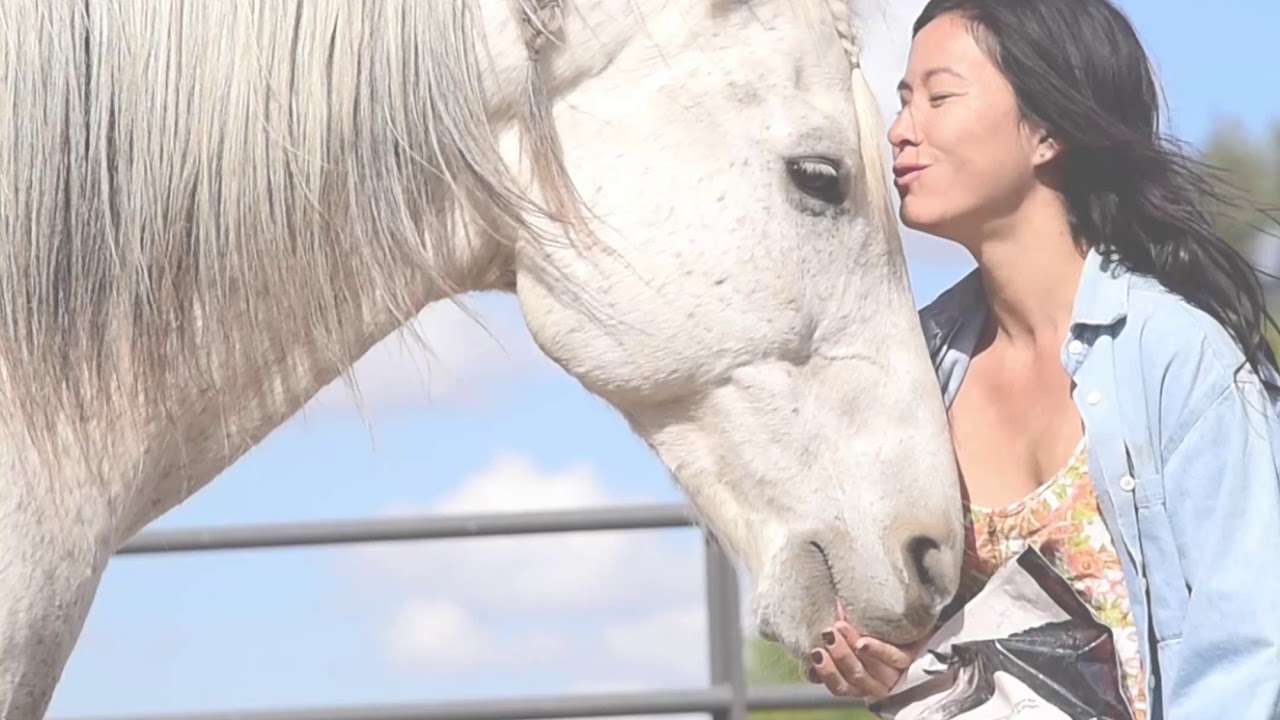 Omega Fields - Omega Nibblers