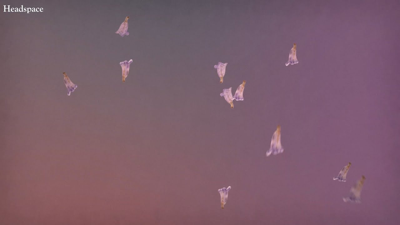 Sharon Van Etten Headspace (Lyric Video) YouTube