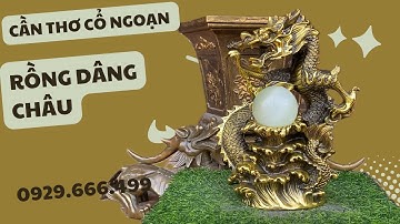 TƯỢNG ĐỒNG RỒNG DÂNG CHÂU | CLIP NGÀY 24/11/2023 | CẦN THƠ CỔ NGOẠN #đồcổ #canthocongoan #doxua
