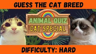 Can You Guess The Cat Breed | Animal Quiz | Cat Special