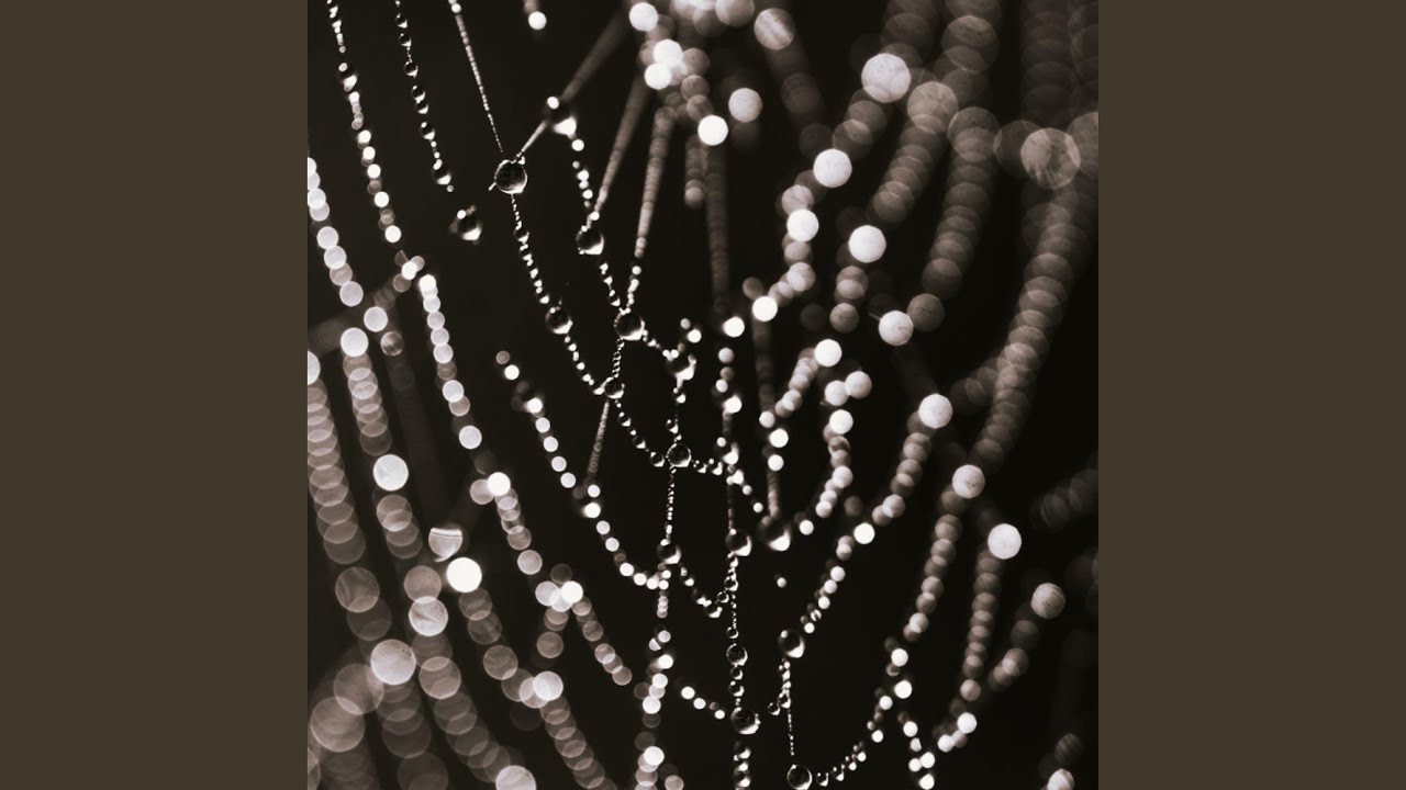 Ver Collateral Damage en YouTube Ver Collateral Damage en YouTube