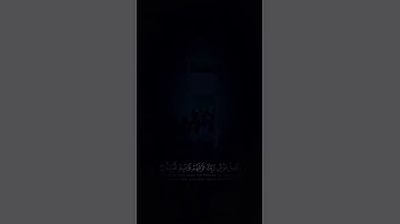 تلاوة خاشعة للشيخ ناصر القطامي 😴🎧#قرآن #قرآن #قرآن_كريم #ناصر_القطامي #خشوع #سبحان_الله