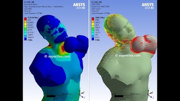 FEA Simulation of Punching a Boxing Bob - ANSYS Workbench Explicit Dynamics
