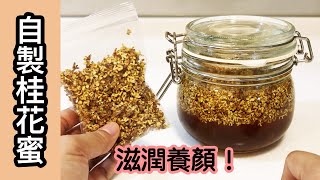 【自製桂花蜜】從摘桂花開始！滋潤養顏！秋冬之選！潮媽教煮 