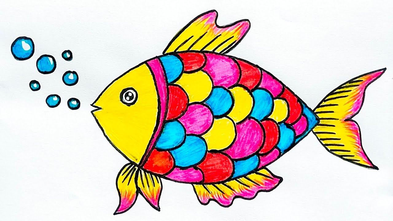 Fish drawing for beginners, How to draw fish step by step