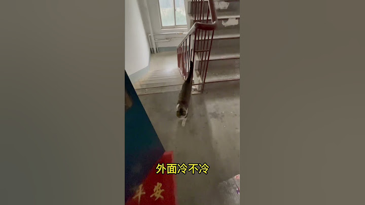 自己送上門的貓貓，不要白不要！