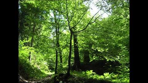 KneToNatoR - The Old Place Of Worship In The Desert