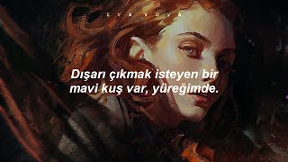 Charles Bukowski - Bluebird (Türkçe Çeviri)