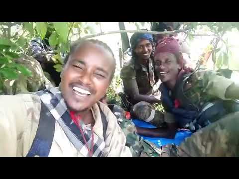 The Army Of The Liberation Of The Oromo Wbo
