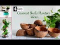 4 easy  best planter ideas using coconut shells  indoor  outdoor plantersgreen plants