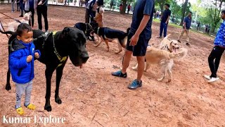 The Weekend Dog Park @ Cubbon Park | Cute dogs show in Bangalore | all breed dogs | Kumar Explore