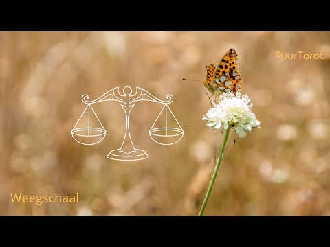 Weegschaal - Een