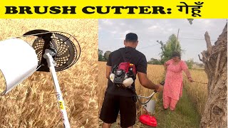 Avoid Mistakes: Brush Cutter Assembly & Review