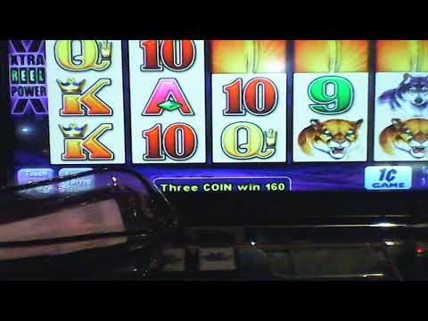 #Casino siempre al alcance de tu mano 馃幇馃摫