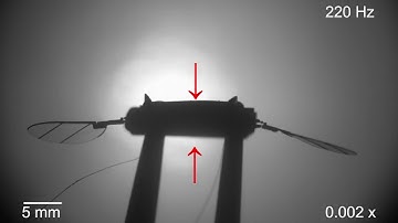 Flying microrobot with soft artificial muscles