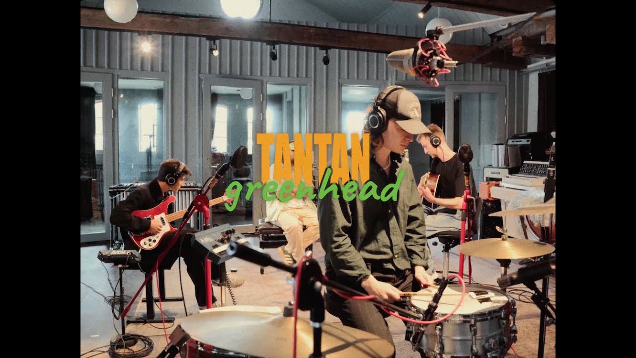 TANTAN - greenhead (lyric video)