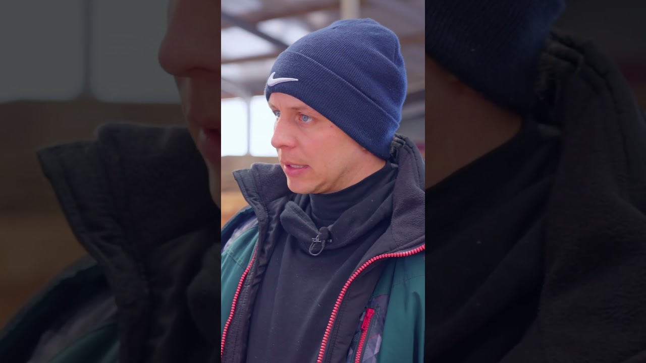 Рацион для джерси. Соевый шрот 