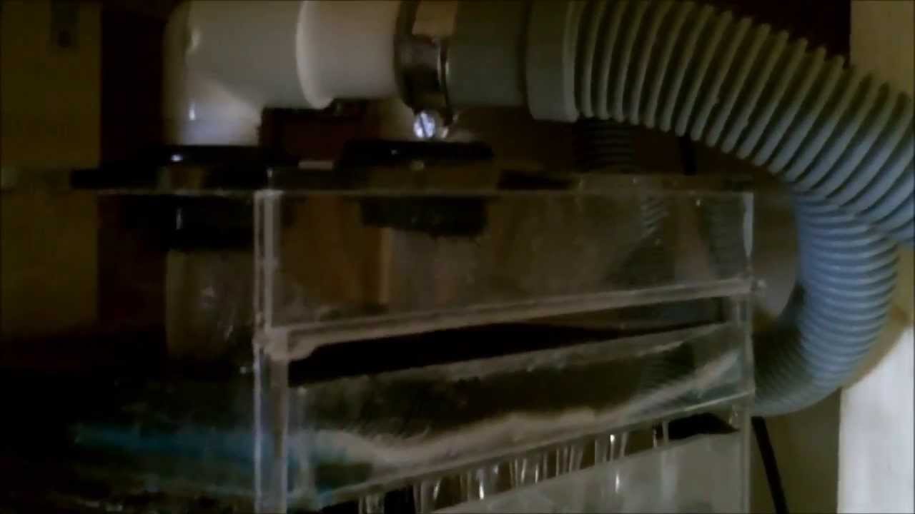 discus fish tank size Video tour of my Discus Tank