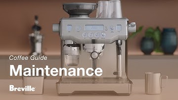 The Oracle® | How to clean your machine after every use with a clear water backflush | Breville USA