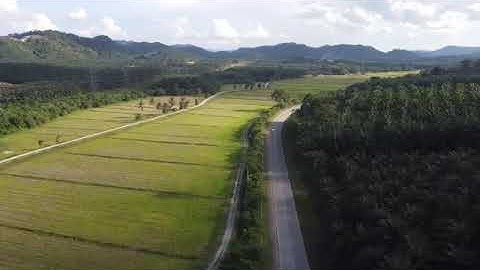 Drone Agriculture Survey