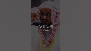 سعود الشريم سورة المائدة اية 109