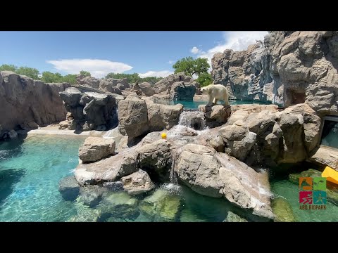 Vidéo: Visitez le zoo ABQ BioPark d'Albuquerque