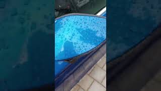 Octavia 4 - Parkovaci Kamera...otevrene Dvere, Specificky Nakup?