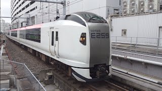 [横須賀線内では本数少なく短い6両] E259系特急成田エクスプレス成田空港行き 横浜(JO-13)到着