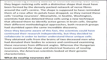 Action 11 module 3 The Rosehip Neurone