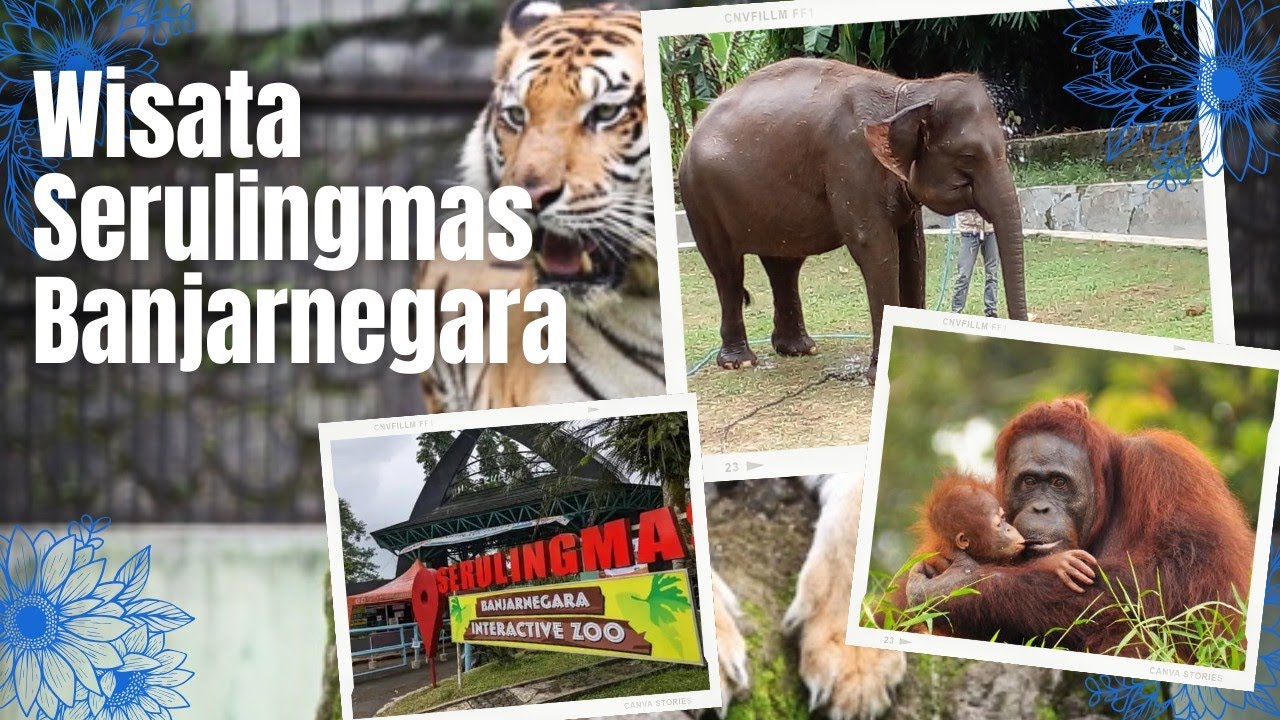 MENGUNJUNGI RUMAH SATWA YANG ADA DI BANJARNEGARA TERNYATA SERU || WISATA SERULINGMAS 