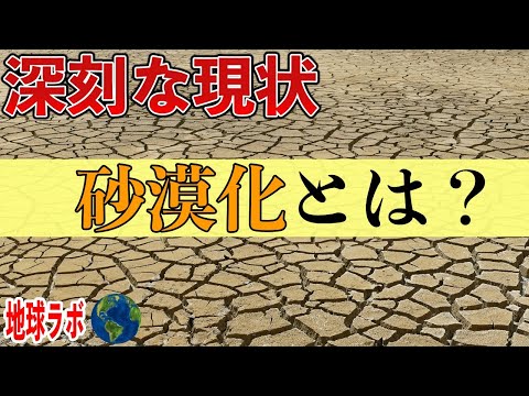 【砂漠化の問題】砂漠化とは何かについて